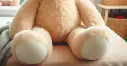 Ourson en peluche (2).webp